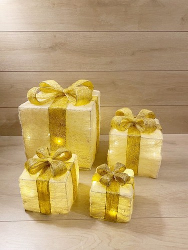 Set pacchi regalo - 4,